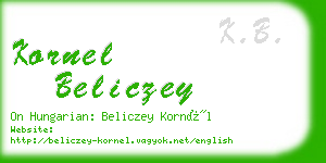 kornel beliczey business card